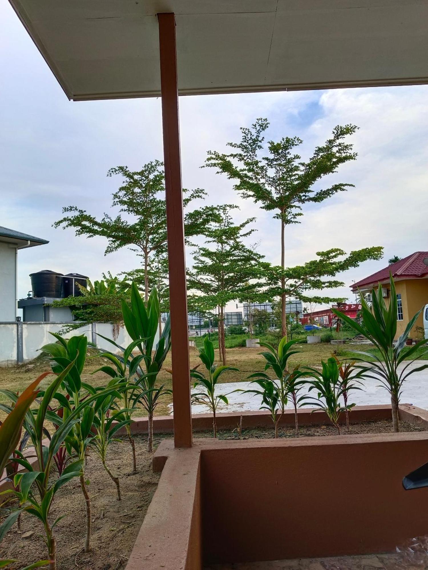 Alfa Roomstay Pantai Cenang  Esterno foto